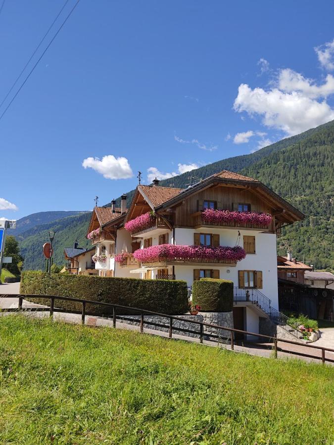 Appartamento Mansarda Patrizia E Franco Val Di Sole 科美扎杜拉 外观 照片